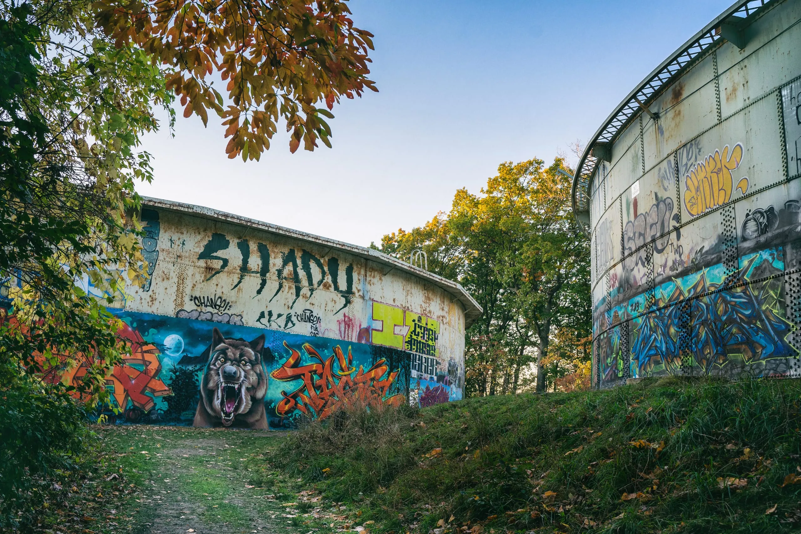 A snarling wolf mural covers a graffiti-tagged gas holder tank beside autumn trees and a grassy path in Rochester.