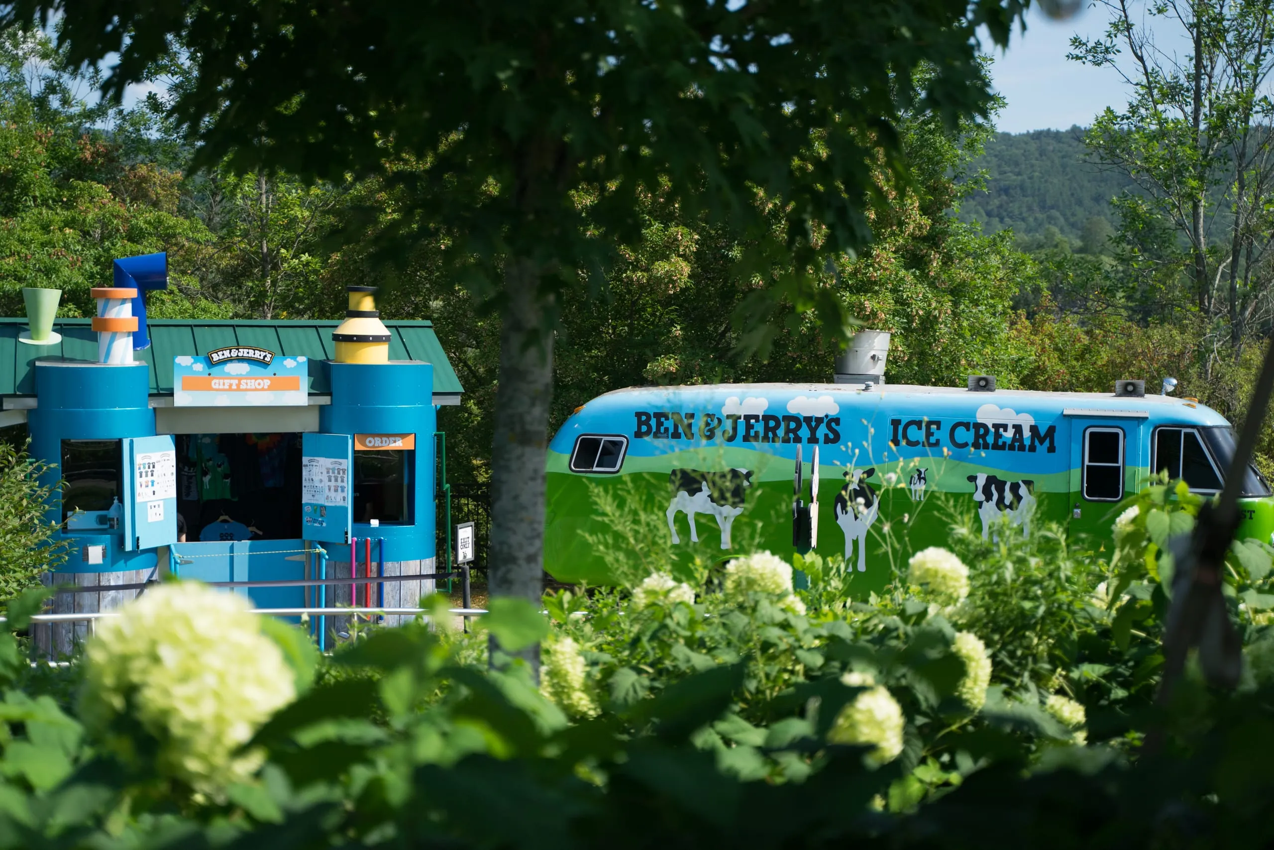 A blue Ben & Jerry's gift shop kiosk and a cow-painted ice cream trailer framed by hydrangeas and trees in Vermont.