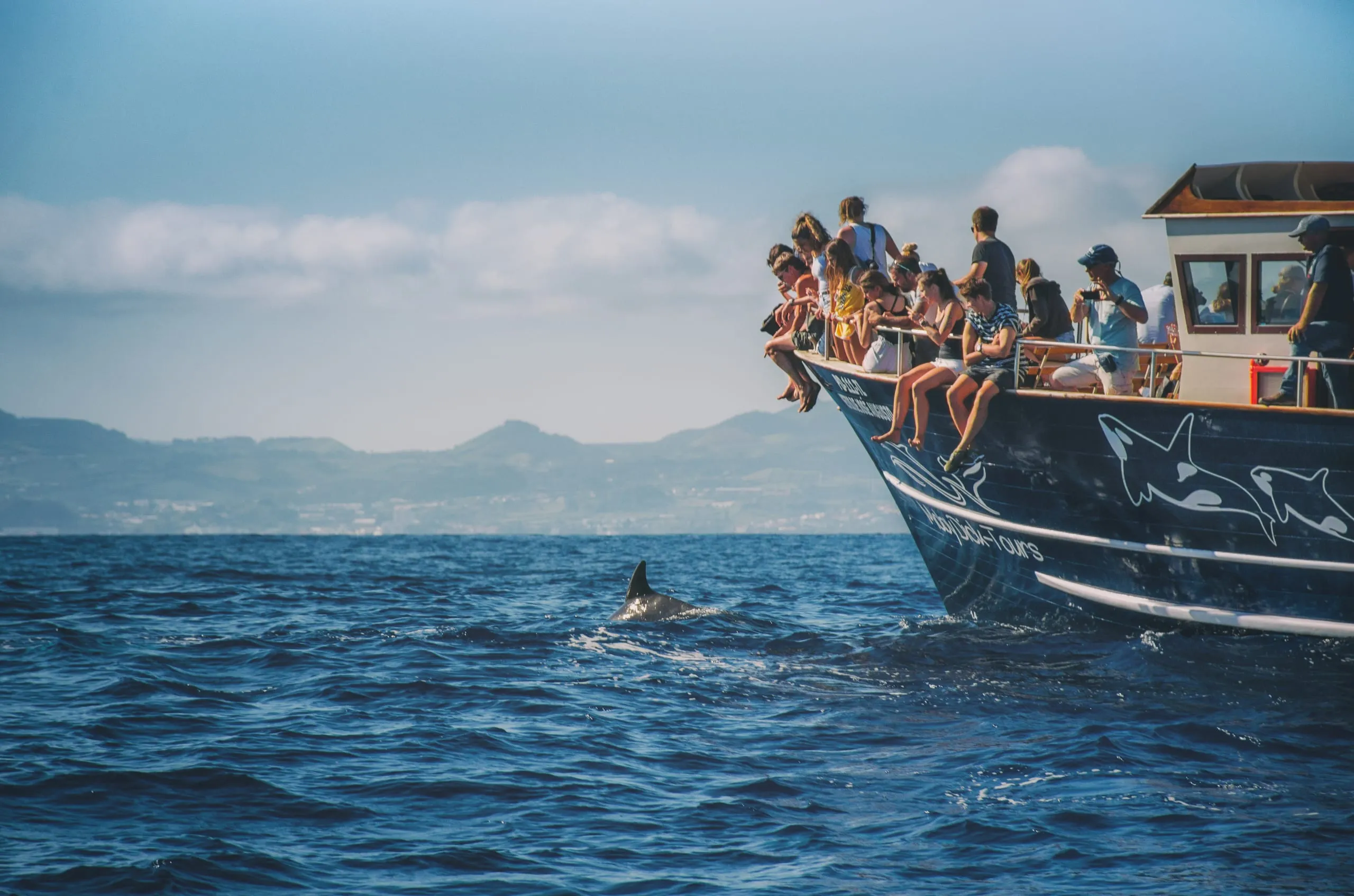 Tourists lean over the bow of a dark whale-watching boat painted with dolphins as a dolphin's dorsal fin breaks the sea, coastline behind.