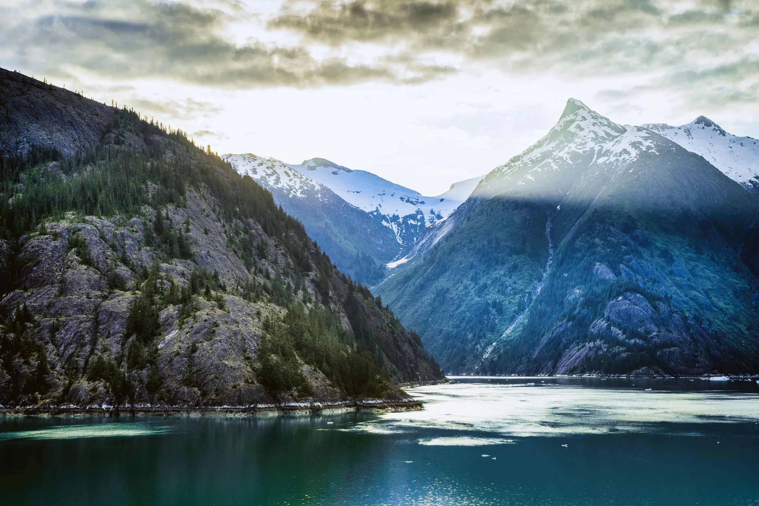 A calm fjord flanked by forested slopes leads toward a snow-streaked peak under a pale, cloud-filtered sky.
