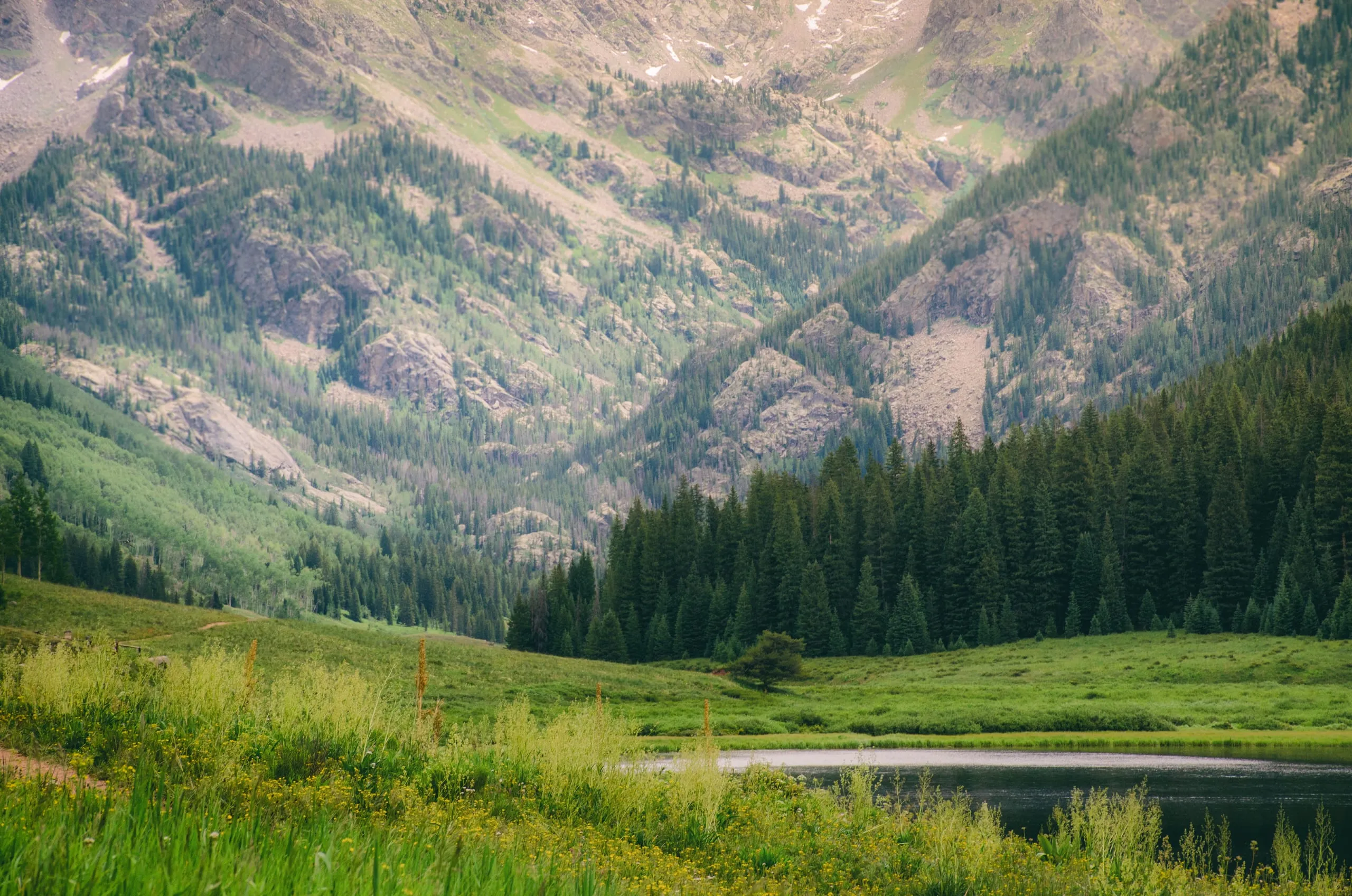 Gore Creek running through its green valley near Vail, Colorado