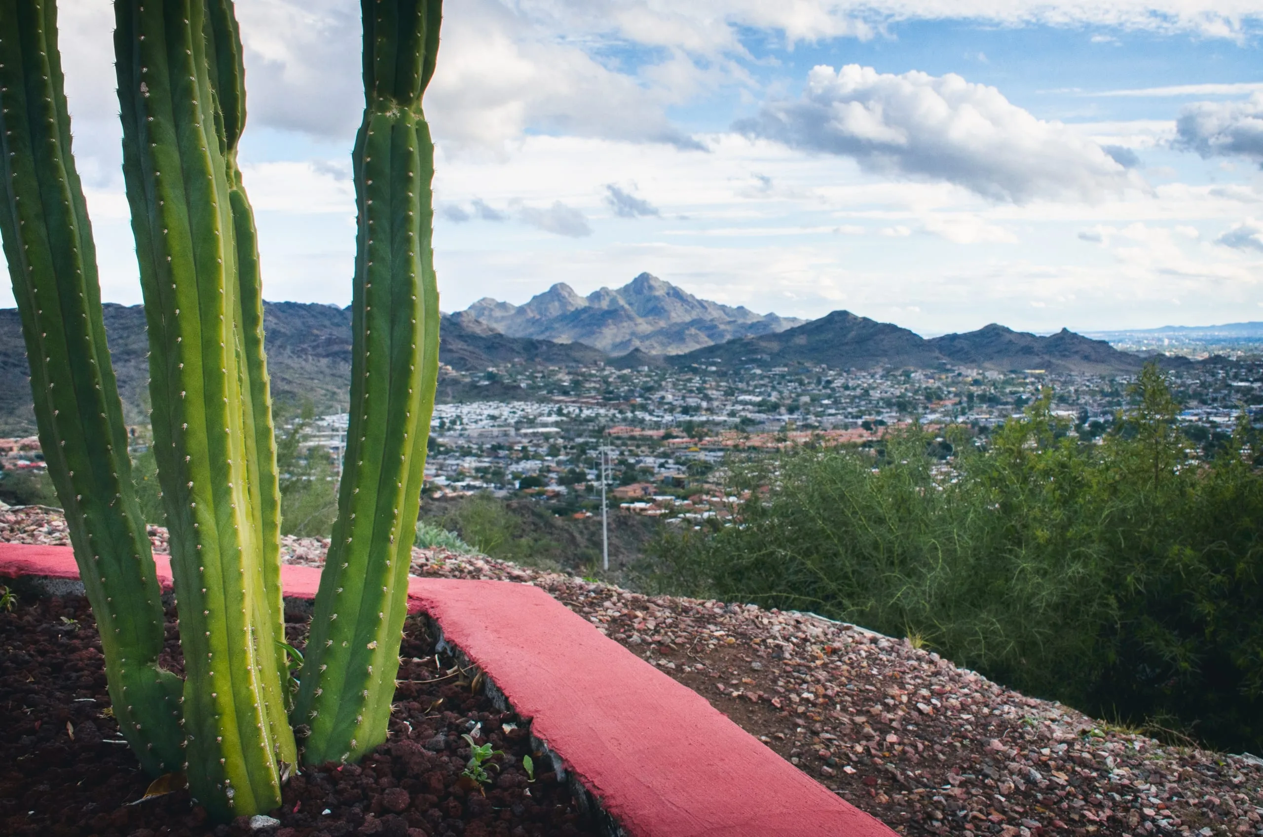 Pink gravel path winding through a cactus garden toward desert peaks in Arizona