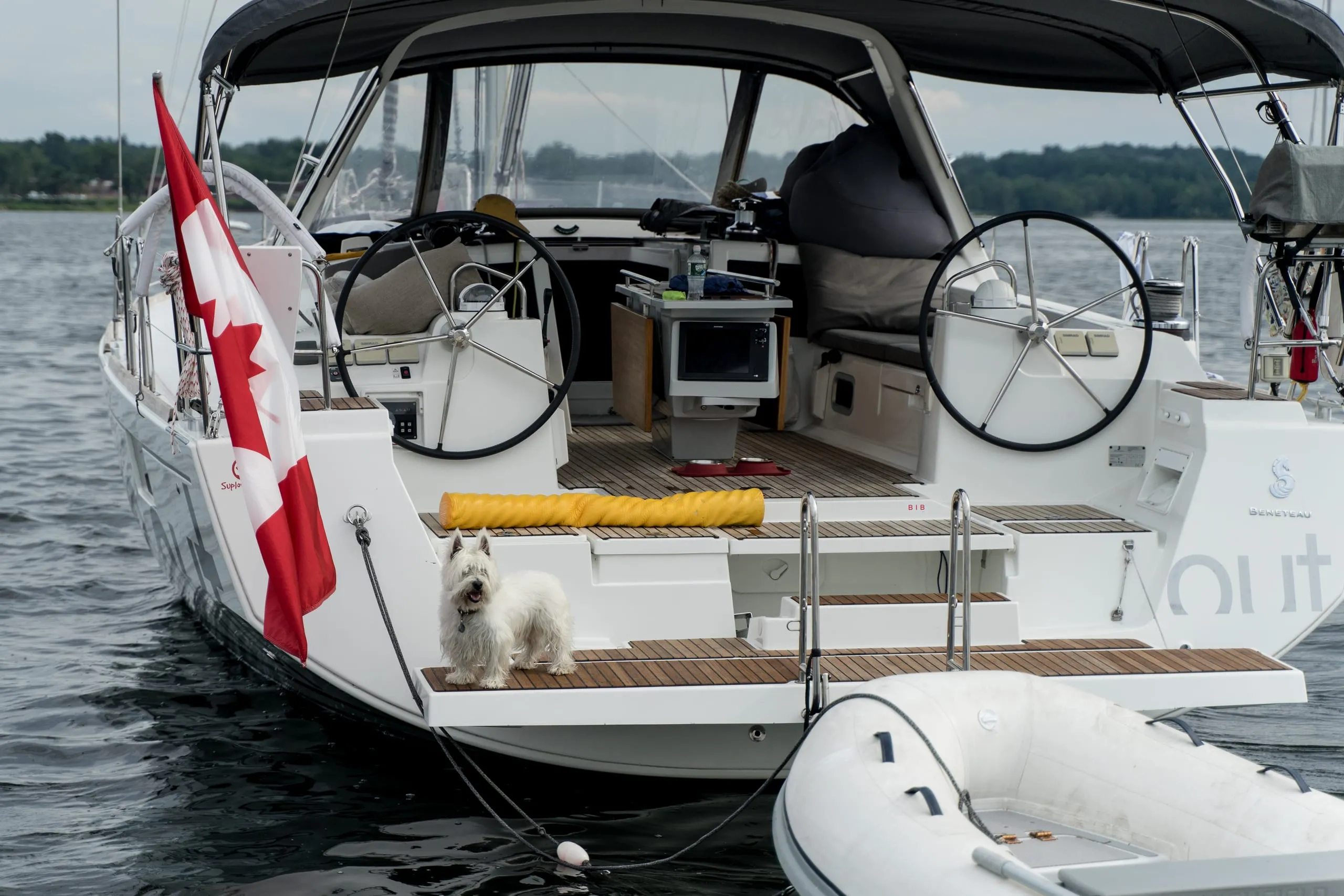 White dog standing on a sailboat deck flying a Canadian flag on Lake Champlain, Vermont