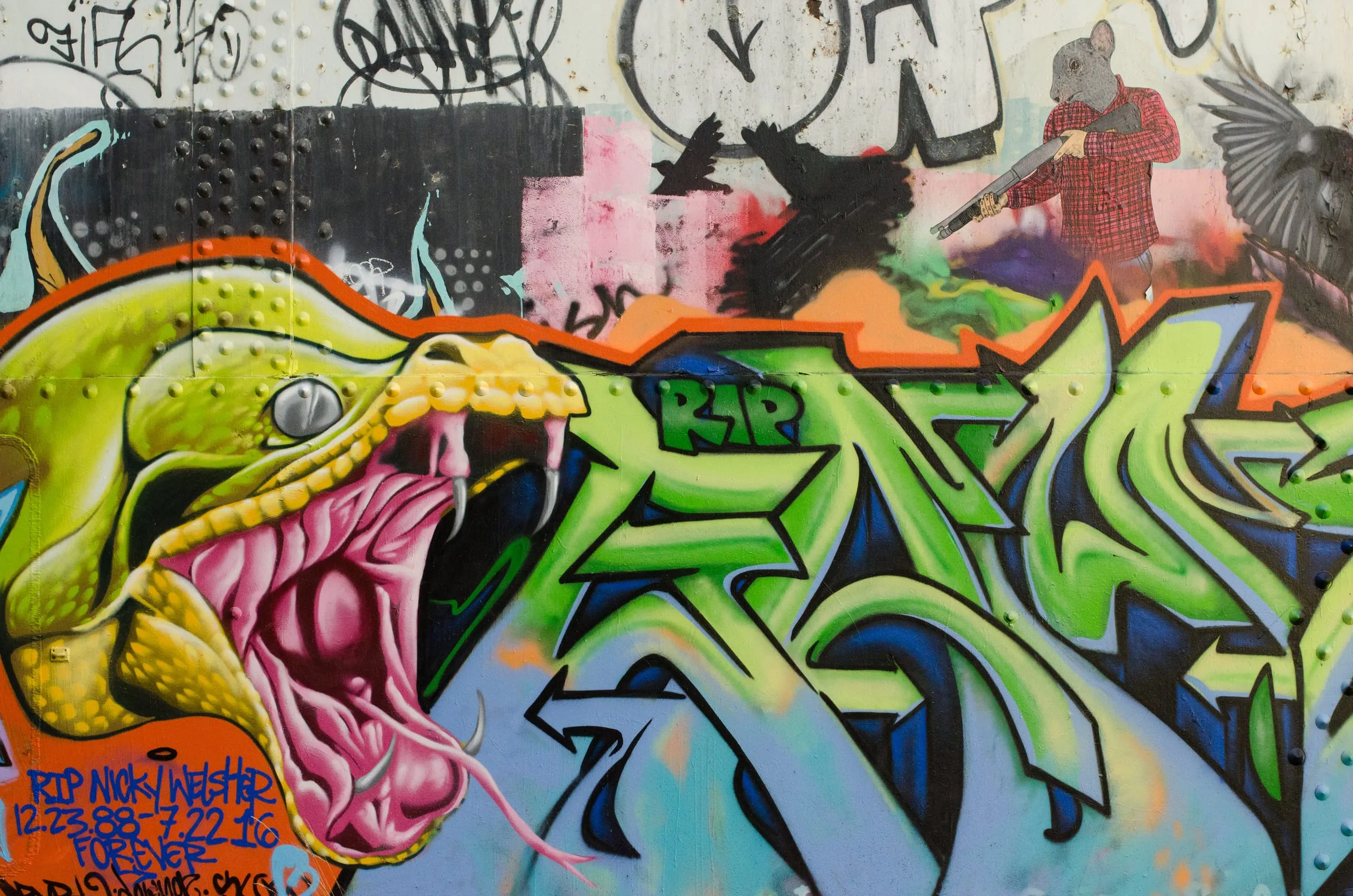 Green snake mural beside a wildstyle graffiti piece on a reservoir wall near Rochester