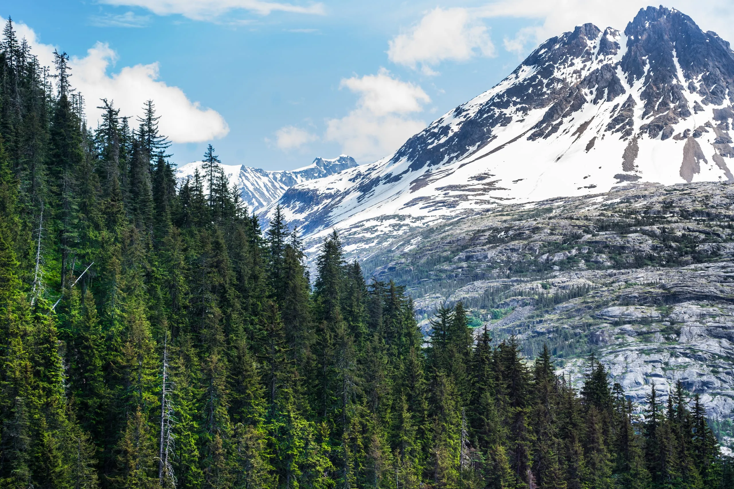 A dense green spruce forest in the foreground rises toward a snow-streaked granite peak under a bright blue, partly cloudy sky.