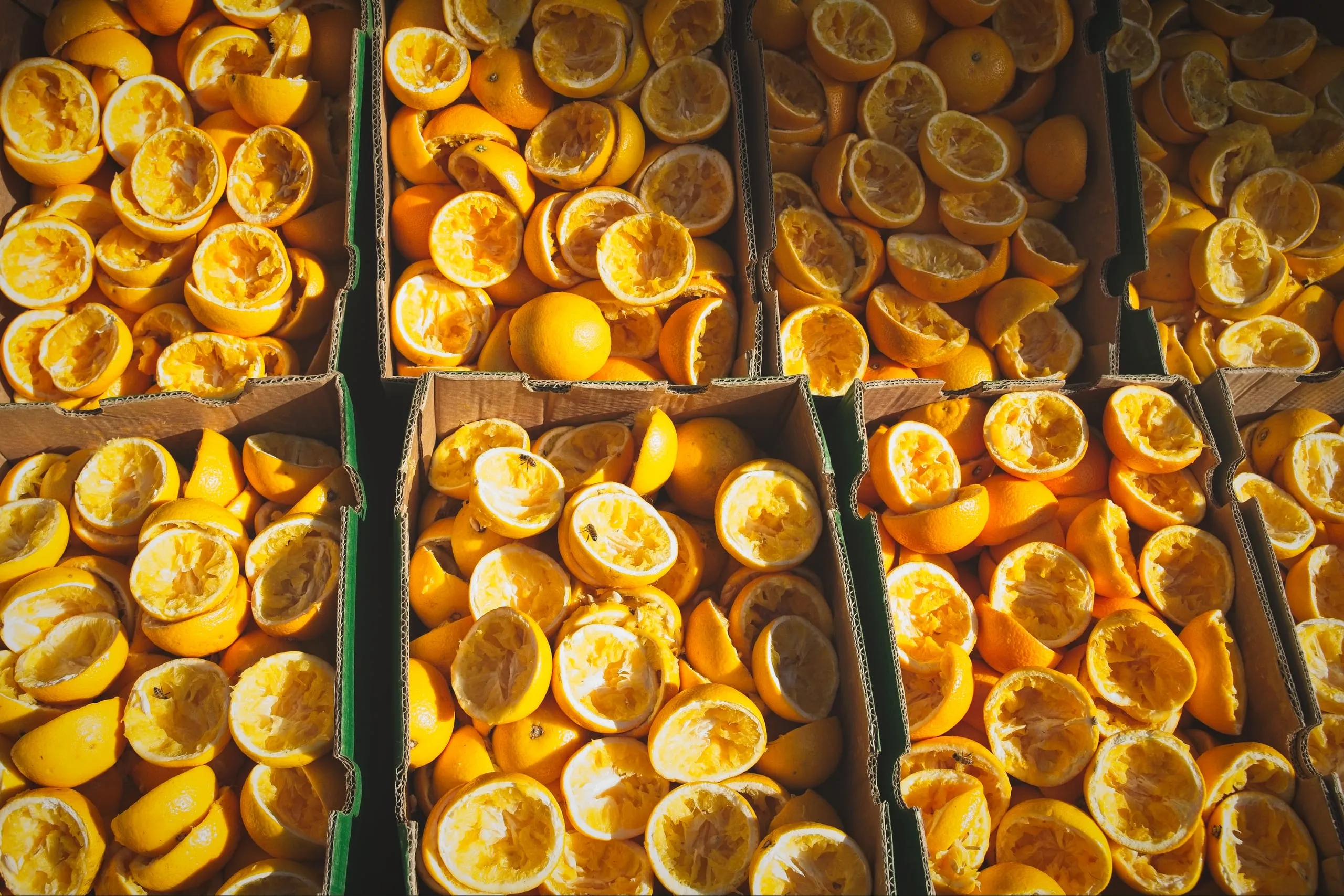 Color photograph of cardboard market crates in London filled with squeezed and halved orange rinds, glowing in warm sunlight.
