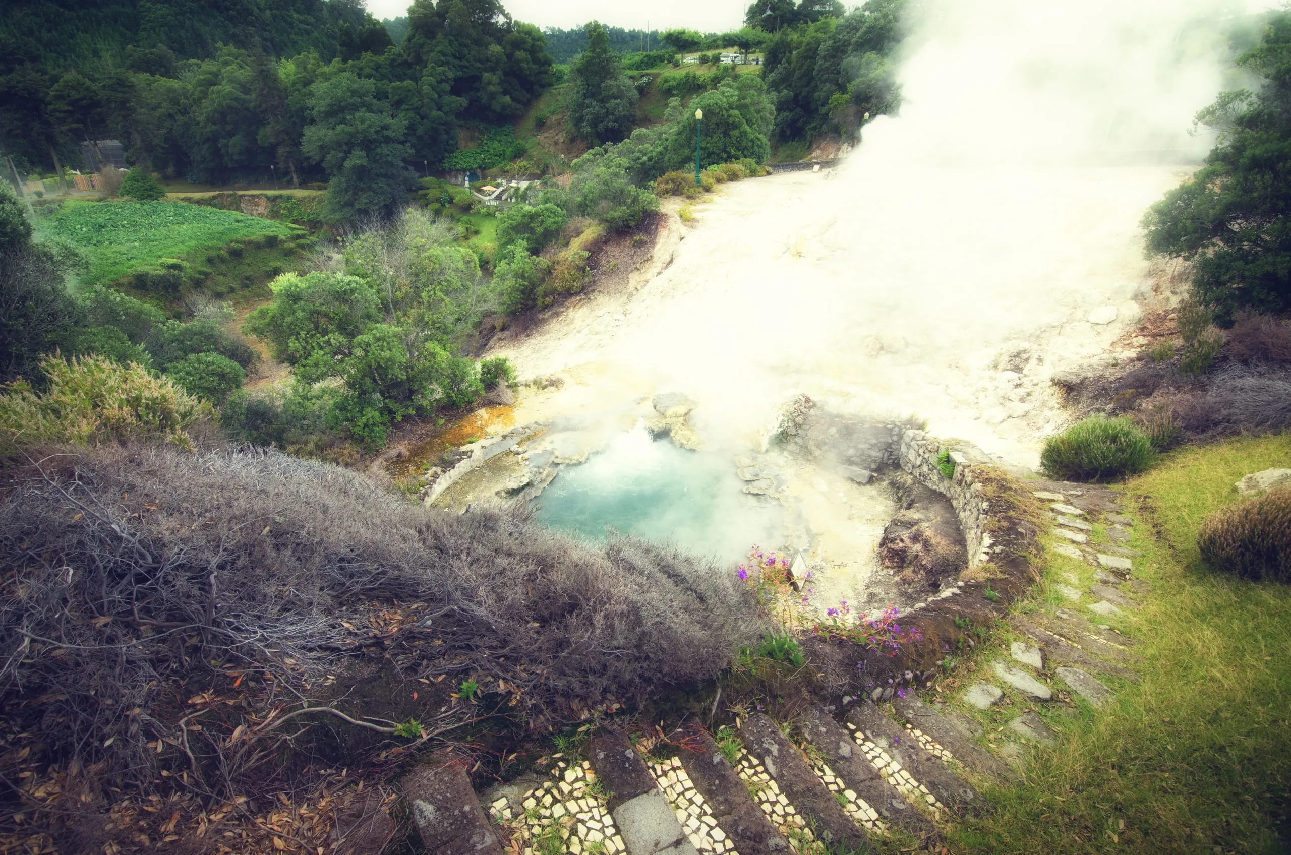 A small turquoise hot spring steams heavily beside white mineral ground, cobbled steps and purple flowers in the foreground.